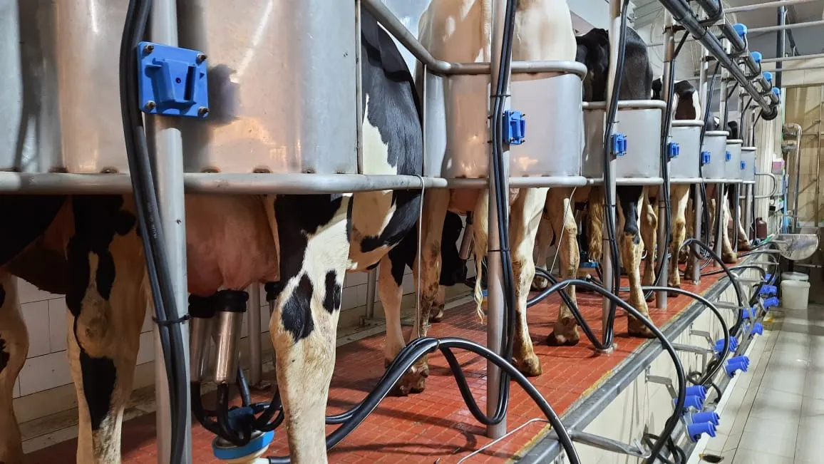 Dairy Farming Equipment