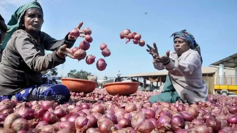 Onion Storage Subsidy