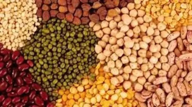 Pulses Production